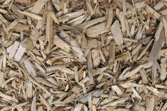 biomass boilers Machrie